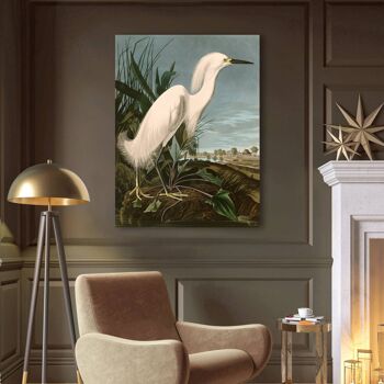 Tableau sur toile classique Audubon, Héron neigeux ou Aigrette blanche 2