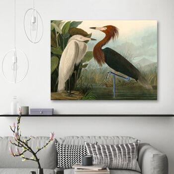 Peinture classique, impression sur toile : John James Audubon, Purple Heron (Pink Heron) 2