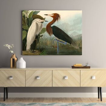 Peinture classique, impression sur toile : John James Audubon, Purple Heron (Pink Heron) 3