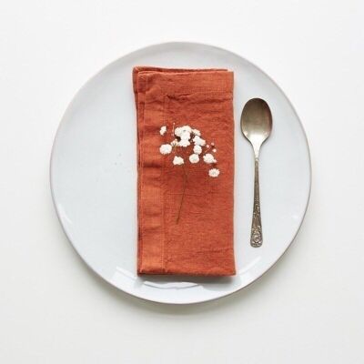 Baked Clay Linen Napkins Set of 2