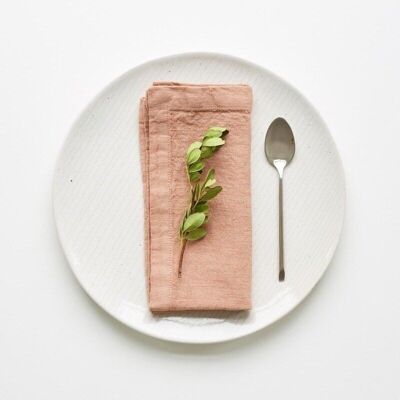 Cafe Creme Linen Napkins Set of 2