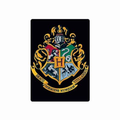 Magnete in metallo - Harry Potter (Hogwarts)