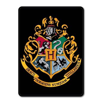 Magnet Métal - Harry Potter (Poudlard) 2