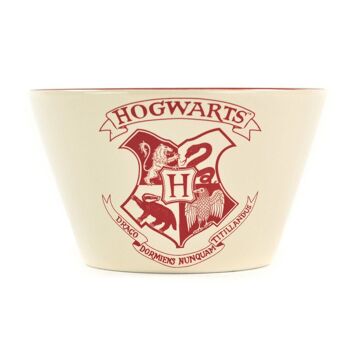 Bol en boîte - Harry Potter (Hogwarts Crest) 1