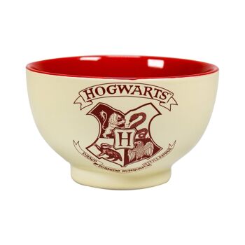 Bol en boîte - Harry Potter (Hogwarts Crest) 2
