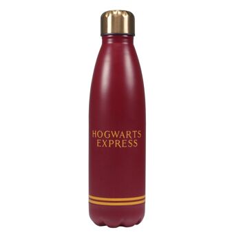 Gourde Métal (500ml) - Harry Potter (Plateforme 9 3/4) 2