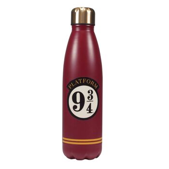 Gourde Métal (500ml) - Harry Potter (Plateforme 9 3/4) 3