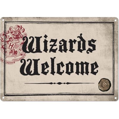 Targa in metallo - Harry Potter (Wizards Welcome)