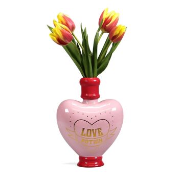 Plateau de table en forme de vase - Harry Potter (Amortentia Love potion 2