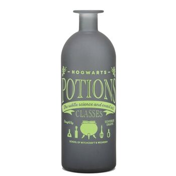 Potion Vase Verre (20cm) - Harry Potter (Cours de Potions) 1