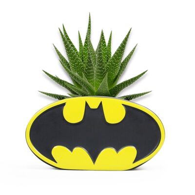 Pflanzer - Batman (Logo)