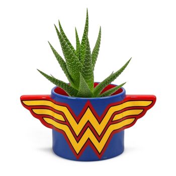 Pot de fleurs en forme - Wonder Woman 6