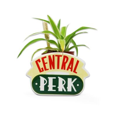 Planta en forma de maceta - Amigos (Central Perk)