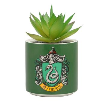 Faux pot de fleurs en boîte (6,5 cm) - Harry Potter (Serpentard) 1