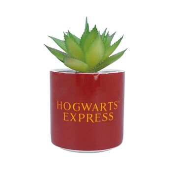 Faux pot de fleurs en boîte (6,5 cm) - Harry Potter (plateforme 9) 2