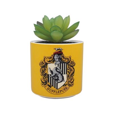 Pot de Fleurs Faux en Boîte (6.5cm) - Harry Potter (Poufsouffle)