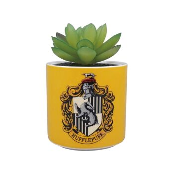 Pot de Fleurs Faux en Boîte (6.5cm) - Harry Potter (Poufsouffle) 1