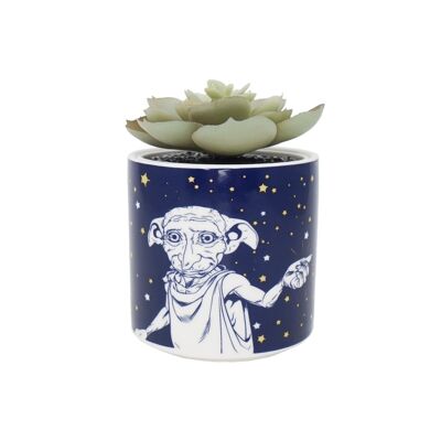 Vaso per piante in finta scatola (6,5 cm) - Harry Potter (Dobby)