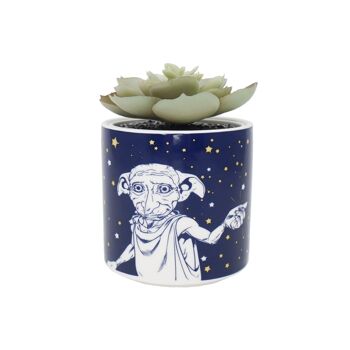 Faux pot de fleurs en boîte (6,5 cm) - Harry Potter (Dobby) 1