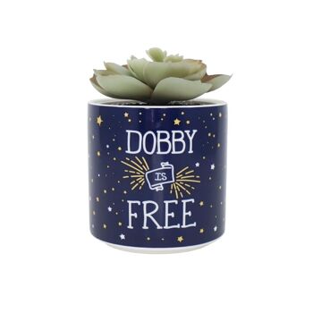 Faux pot de fleurs en boîte (6,5 cm) - Harry Potter (Dobby) 2
