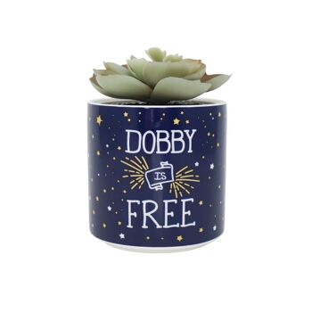 Faux pot de fleurs en boîte (6,5 cm) - Harry Potter (Dobby) 4