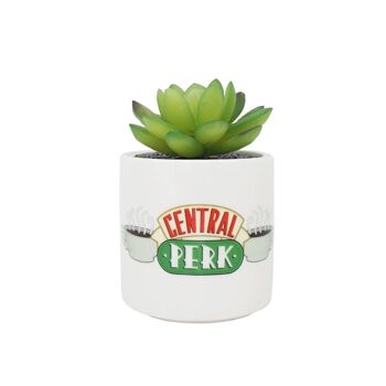 Faux pot de fleurs en boîte (6,5 cm) - Amis (Central Perk) 1