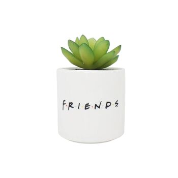 Faux pot de fleurs en boîte (6,5 cm) - Amis (Central Perk) 2