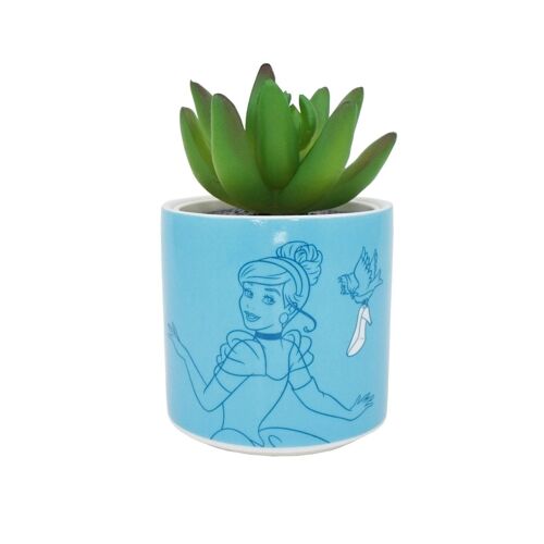 Plant Pot Faux Boxed (6.5cm) - Disney Cinderella