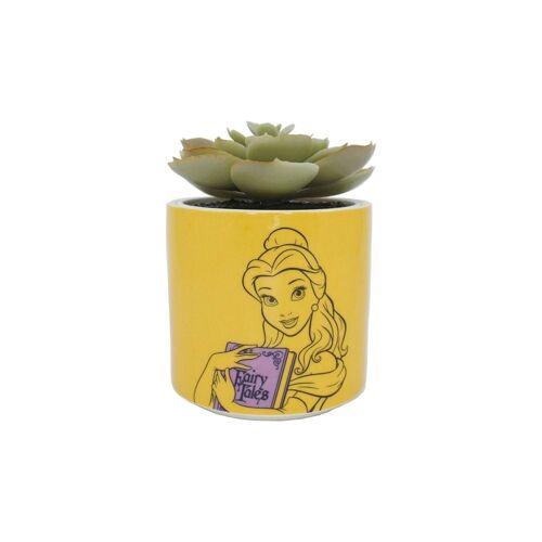 Plant Pot Faux Boxed (6.5cm) - Beauty & The Beast