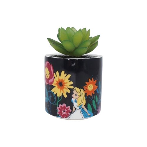 Plant Pot Faux Boxed (6.5cm) - Alice in Wonderland