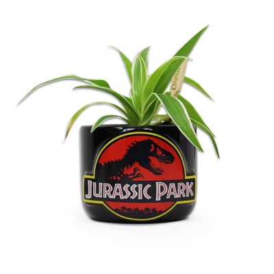Pot de fleurs - Jurassic Park