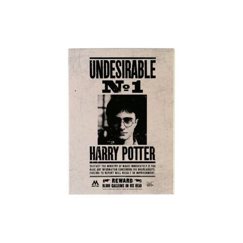 Magnet Metal - Harry Potter (Undesirable No1)
