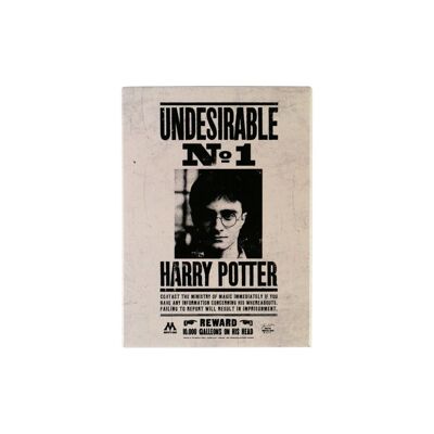 Magnete in metallo - Harry Potter (indesiderabile n. 1)