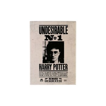 Magnet Métal - Harry Potter (Indésirable No1) 1