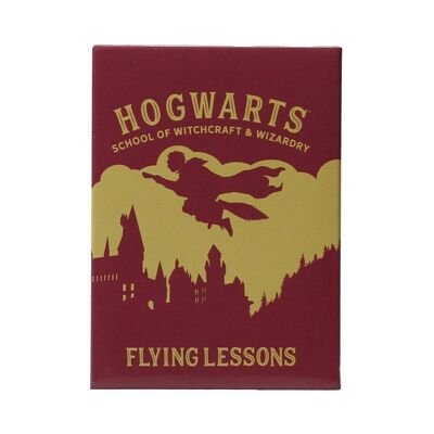 Magnete in metallo - Harry Potter (Lezioni di volo)
