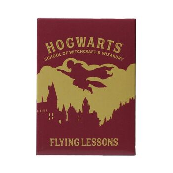 Magnet Métal - Harry Potter (Leçons de Vol) 1