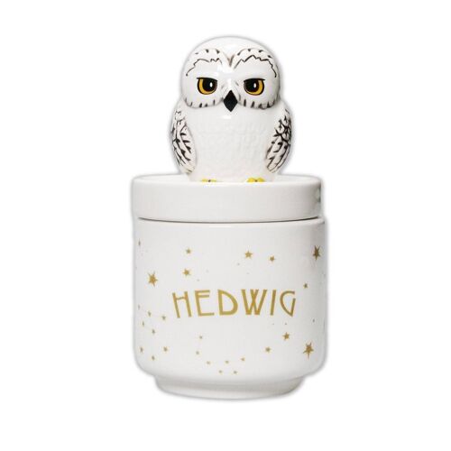 Collector's Box Boxed (14cm) - Harry Potter (Hedwig)