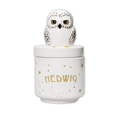 Collector's Box Boxed (14cm) - Harry Potter (Hedwig)