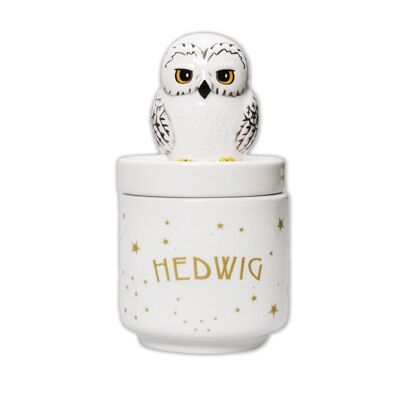 Sammlerbox verpackt (14cm) - Harry Potter (Hedwig)