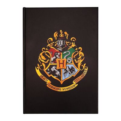 Foglietti adesivi A6 - Harry Potter (Orgoglio della casa)