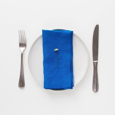 French Blue Linen Napkins Set of 2