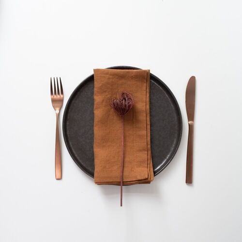 Hazelnut Linen Napkins Set of 2