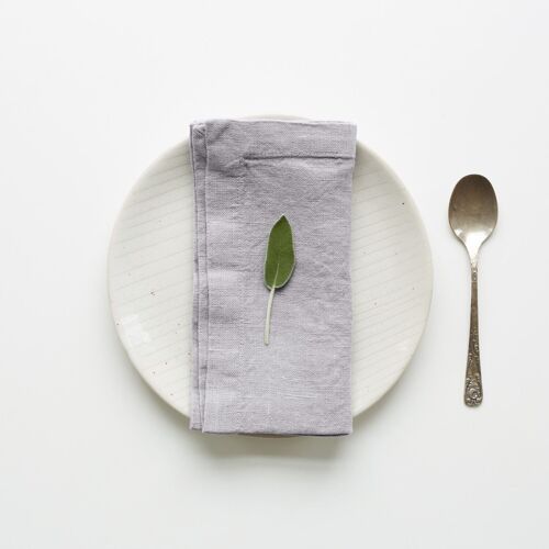 Light Grey Linen Napkins Set of 2