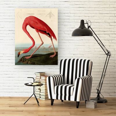 Classic painting, canvas print: Audubon, American Red Flamingo