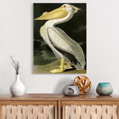 Klassische Malerei, Leinwanddruck: Audubon, American White Pelican