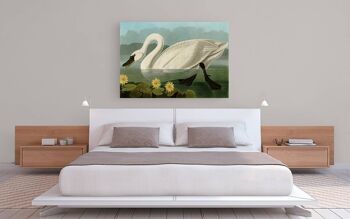 Peinture classique, impression sur toile : Audubon, American Swan 3