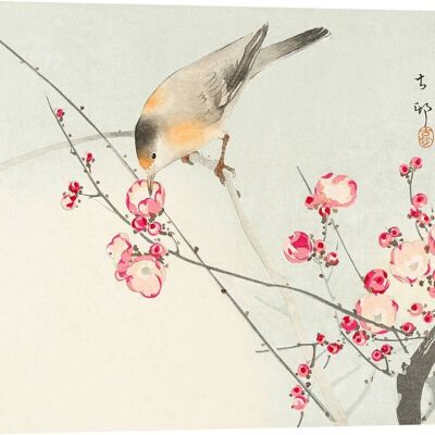Pintura japonesa sobre lienzo: Koson Ohara, Pajarito en una rama florida