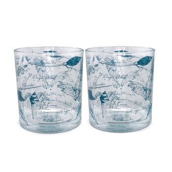 Lot de 2 verres en boîte (300 ml) - Harry Potter (Diagon) 4