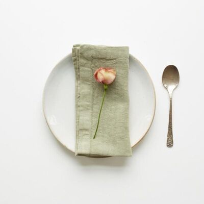 Sage Linen Napkins Set of 2