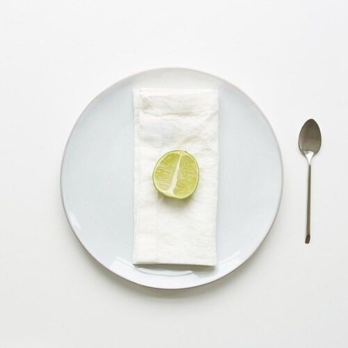 White Linen Napkins Set of 2